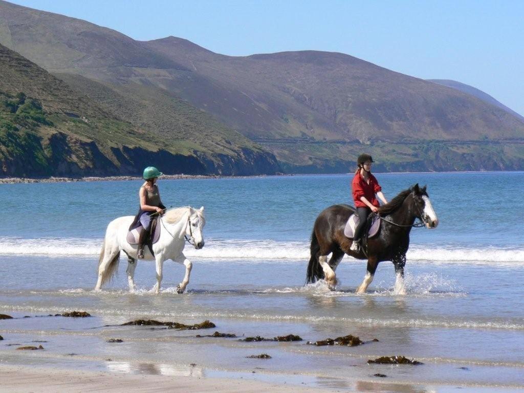 Glencurrah House B&B Glenbeigh Εξωτερικό φωτογραφία